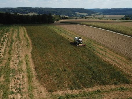 Gäuhanf Feld aus der Vogelperspektive